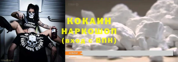 хмурый Новозыбков