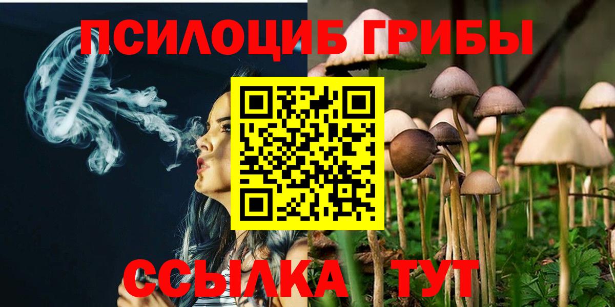 Псилоцибиновые грибы мицелий Нягань